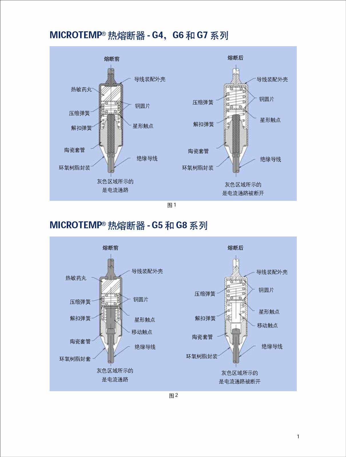 TCO-解剖圖.jpg